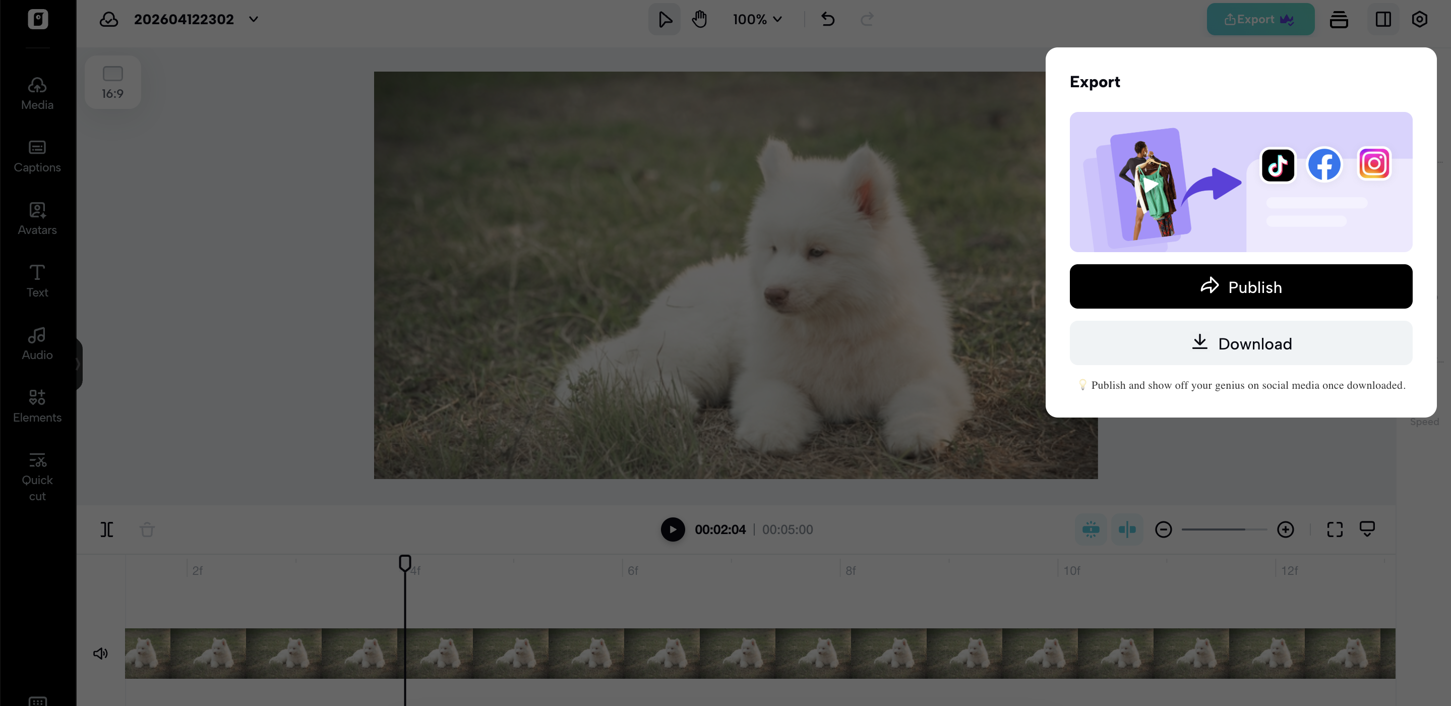 Export your video