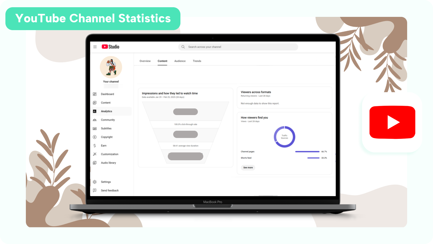 Statistiques vidéo YouTube