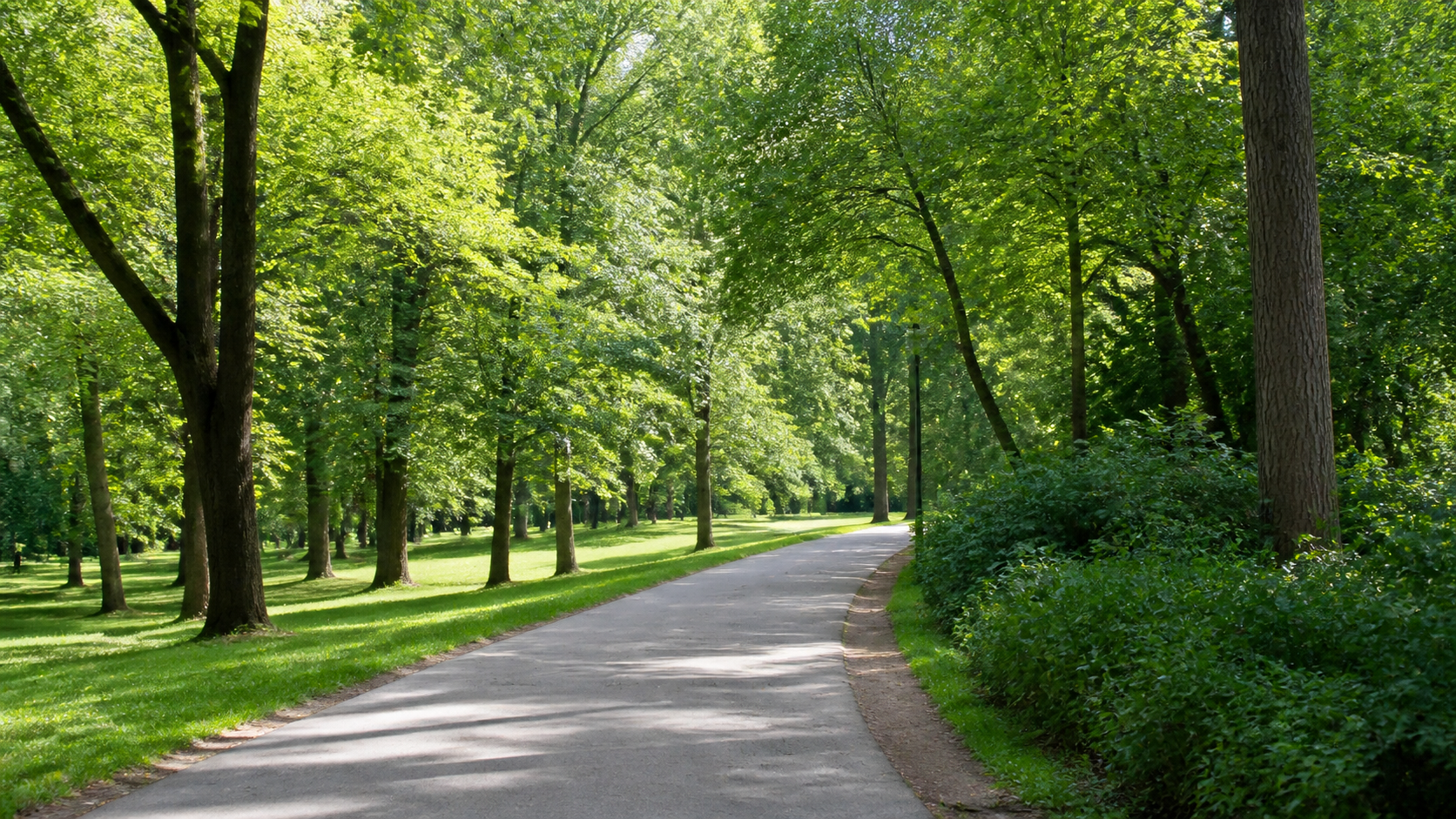 Outdoor color balance example