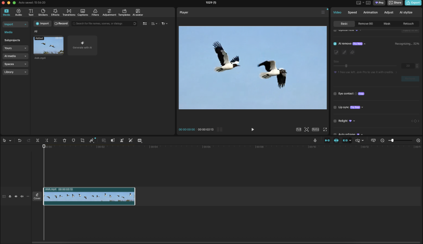 Bird video imported into the media area of an open CapCut desktop project for object removal