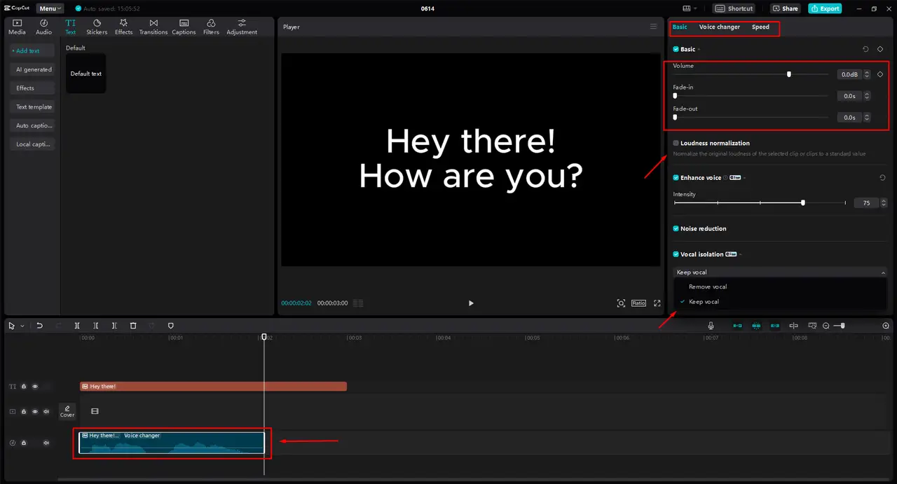 Customize the Voice