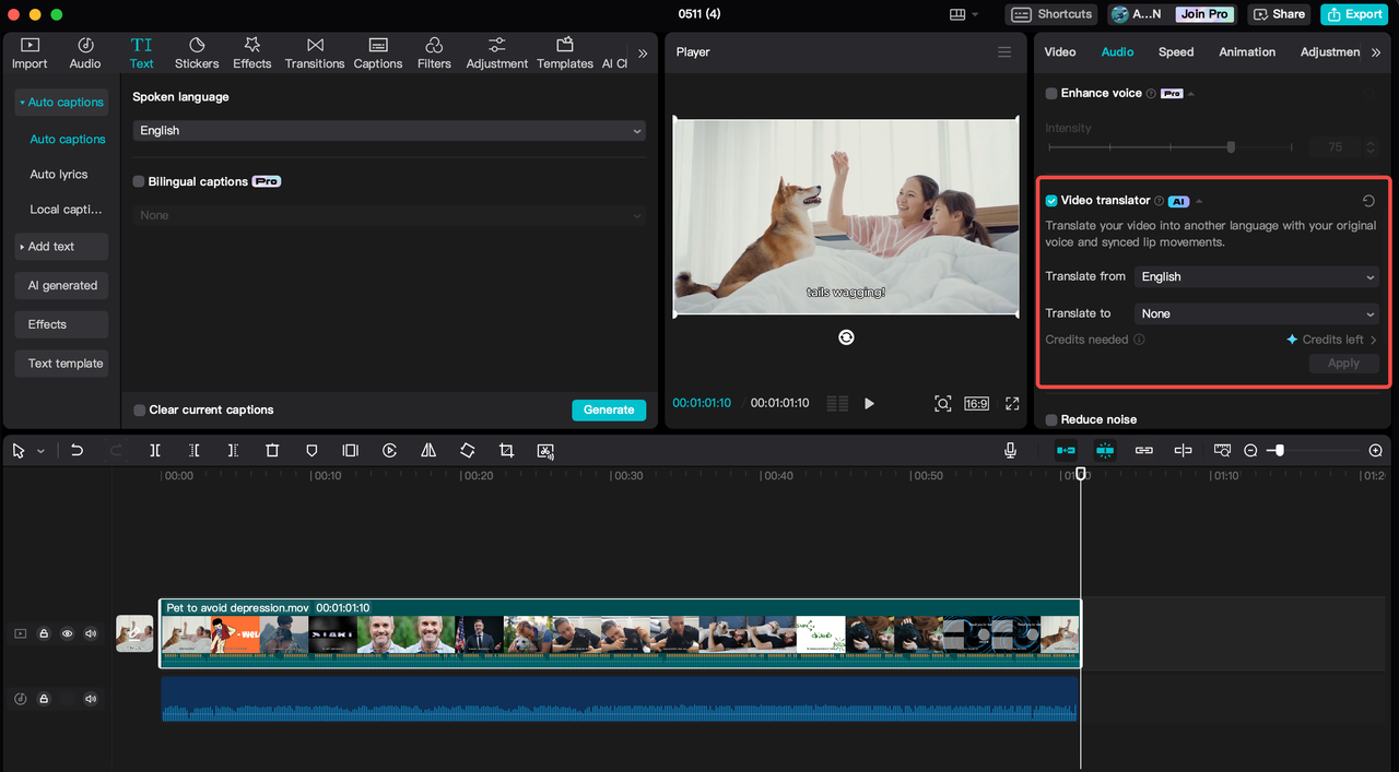 AI video translator
