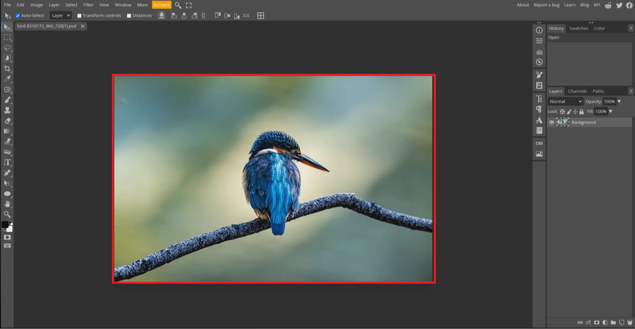 öffnen