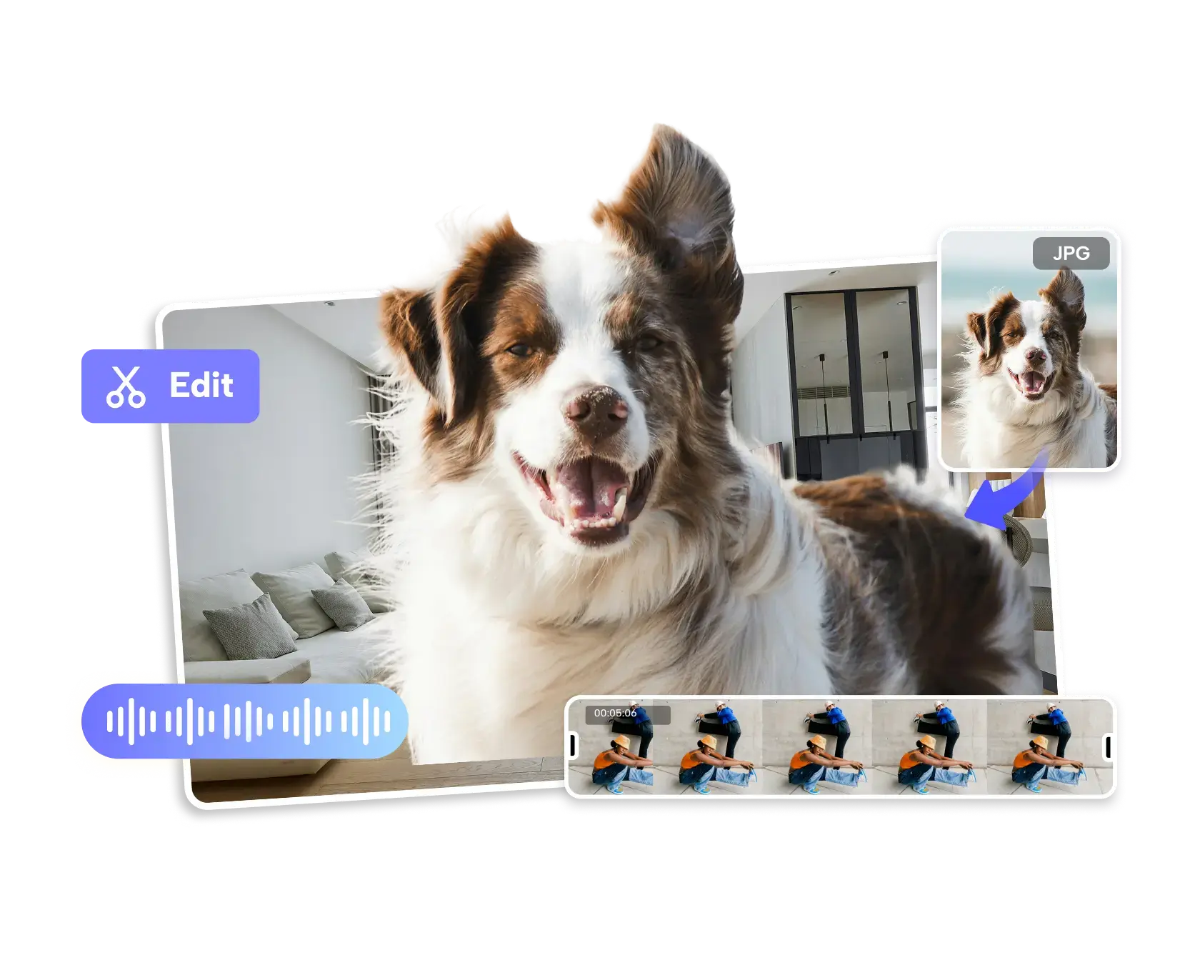 dog photo