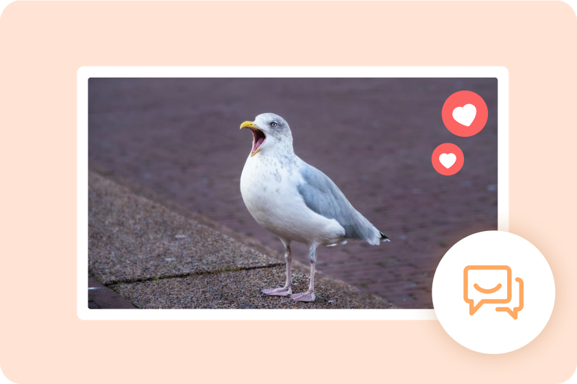 Engagez les téléspectateurs avec des animaux divertissants