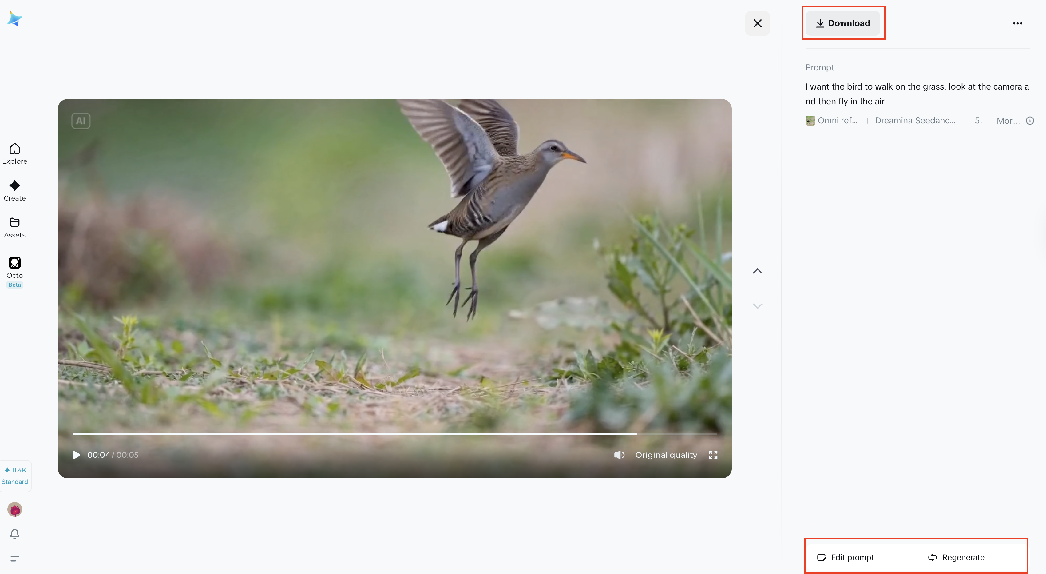 Vorschau, Verbesserung und Download Ihres Videos