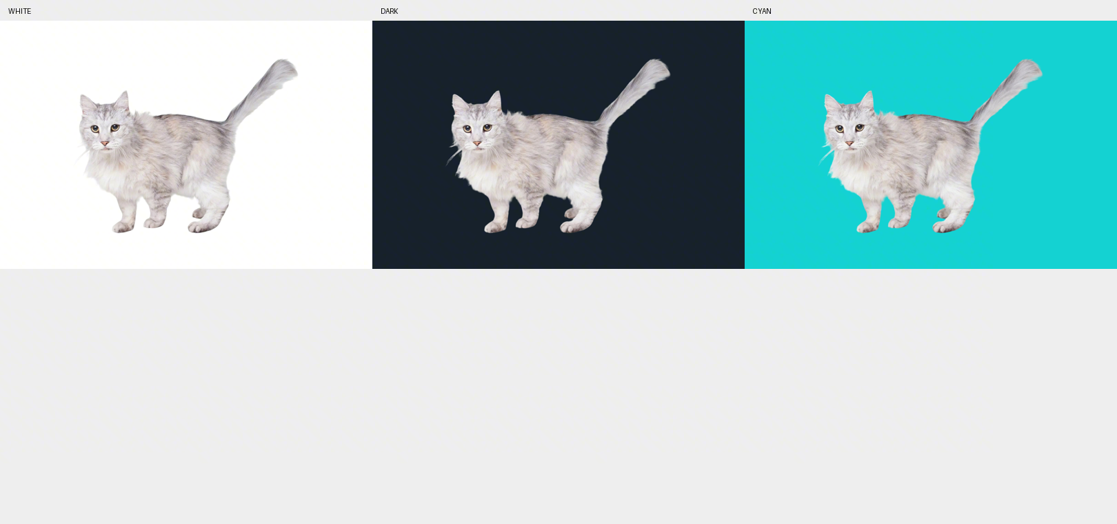 Best AI Background Removers: 5 Tools Compared