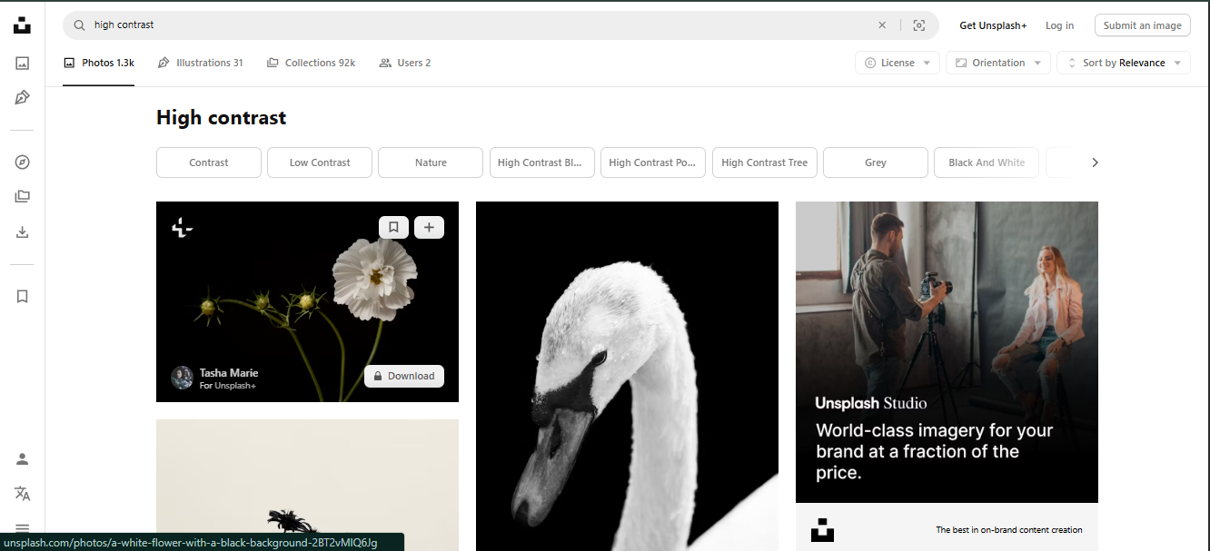 Create Stunning High Contrast Images with AI Editing Tools