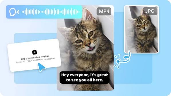 cat image