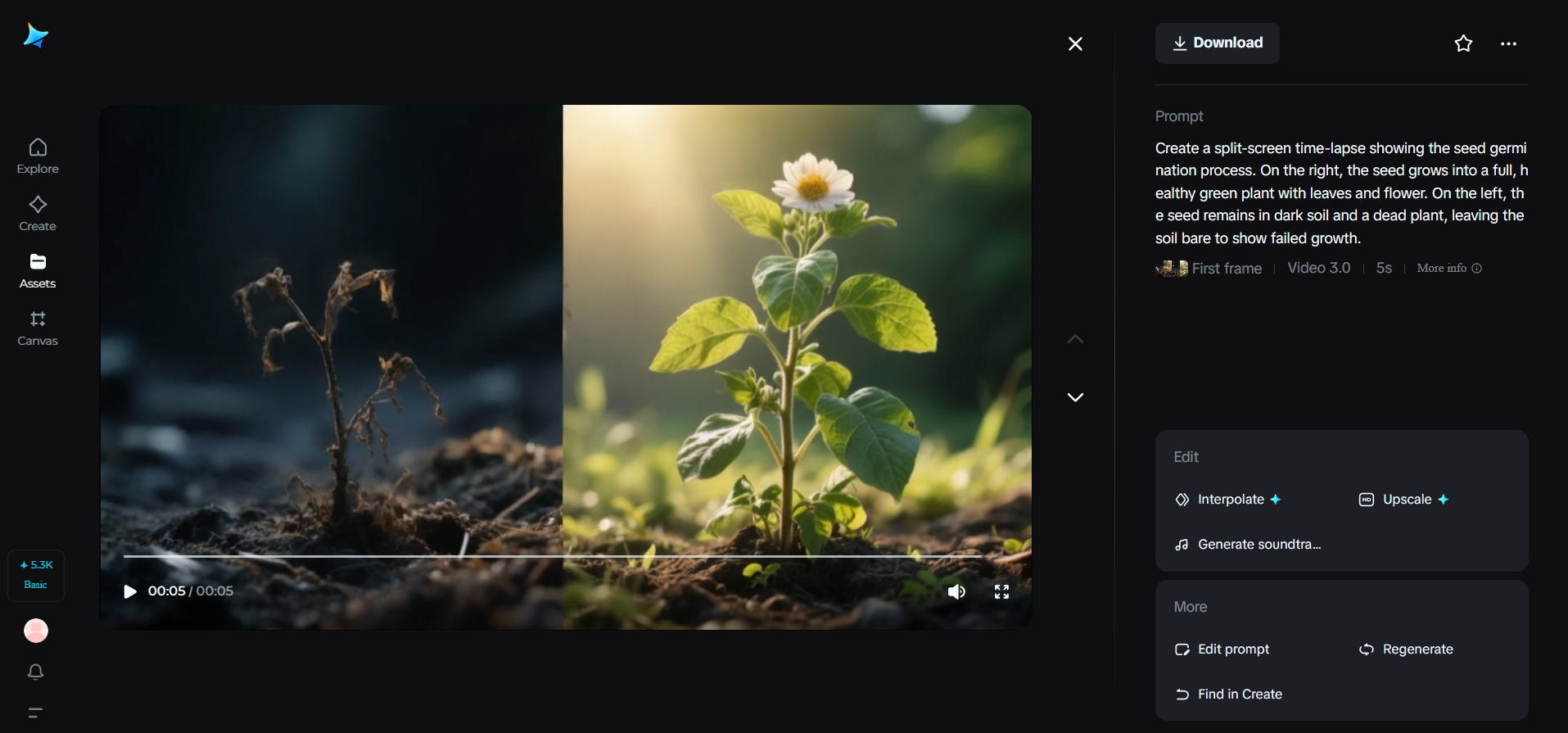 Licht vs. Video des dunklen Samenexperiments