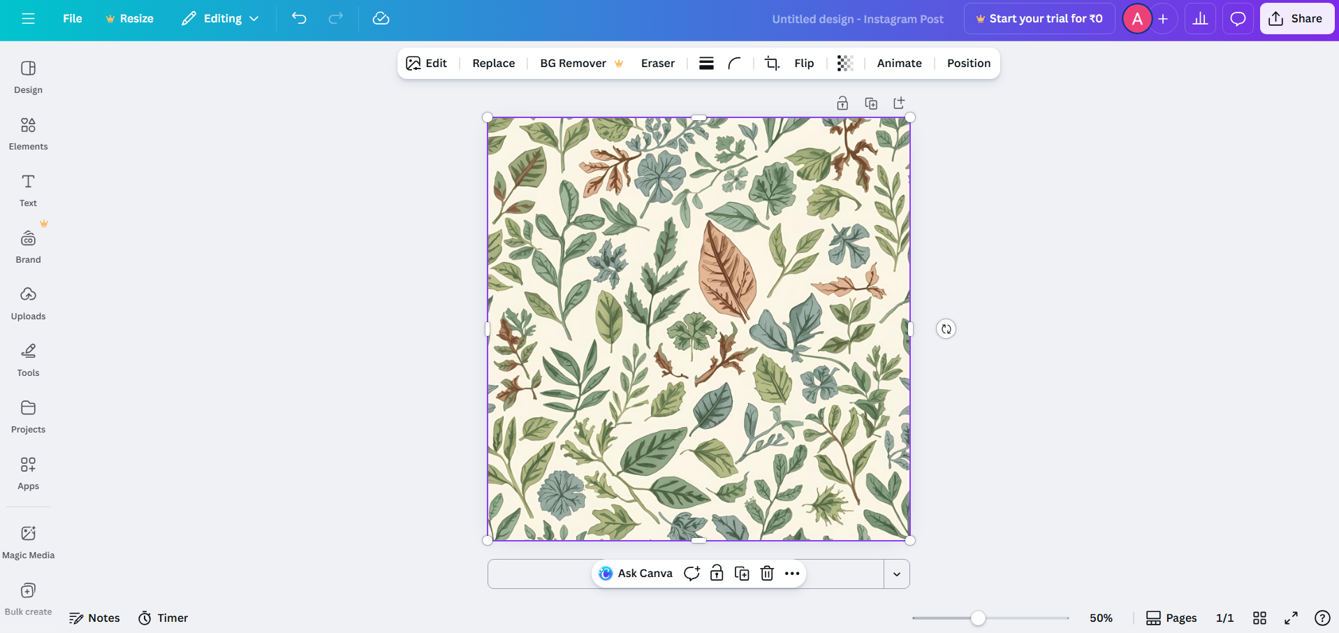 Canva interface