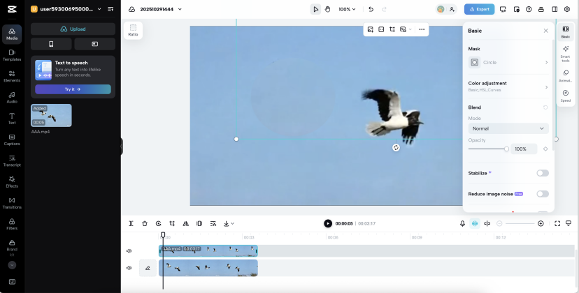 Duplicated bird layer placed over the masked object area within the editing canvas