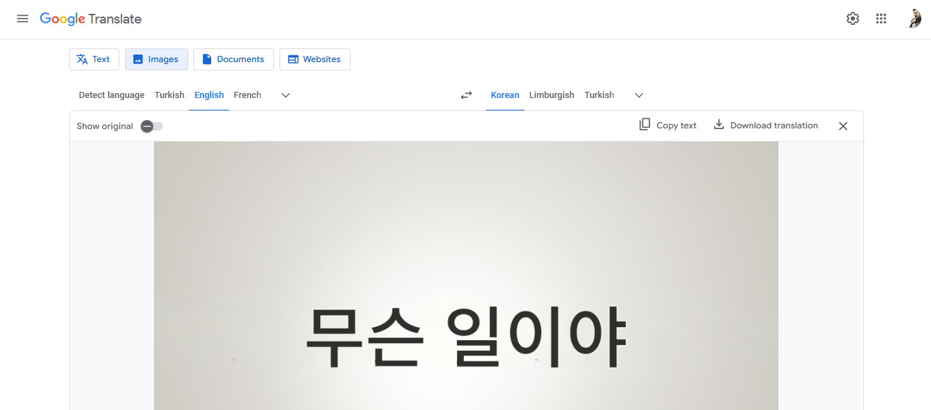 Google Translate English to Korean - Um passo a passo completo