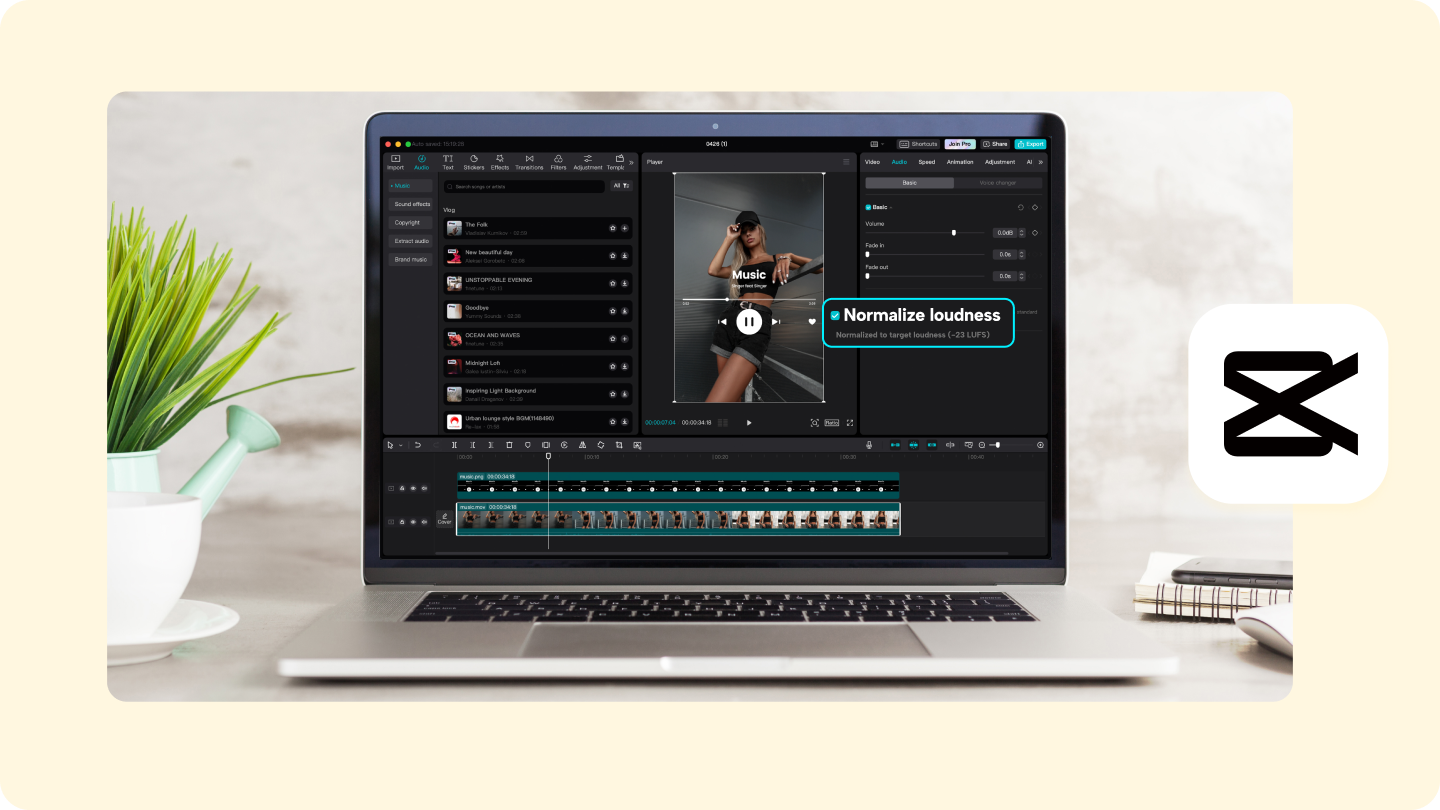 normalizer mp3