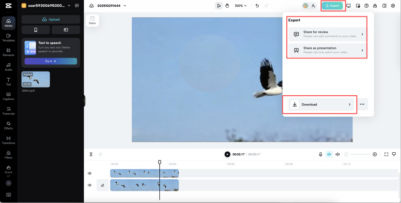 CapCut web export menu listing review, presentation, and file download choices for the project