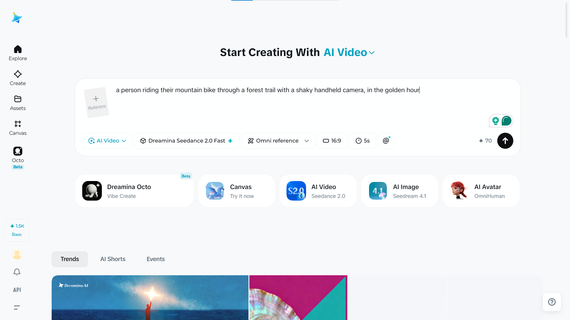 Enter a video prompt
