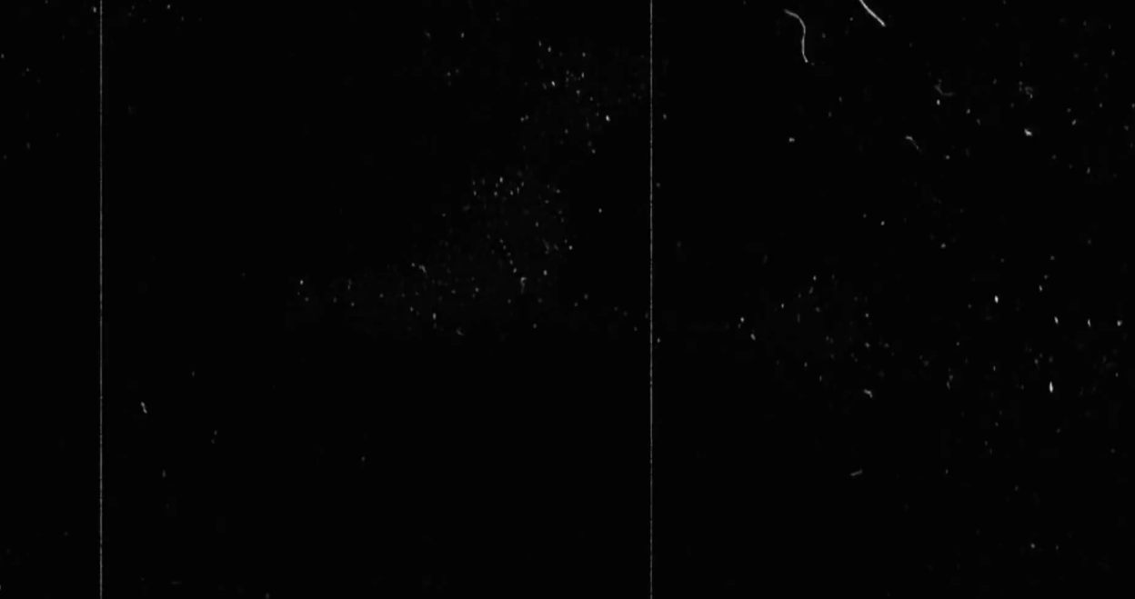 Retro VHS light leaks