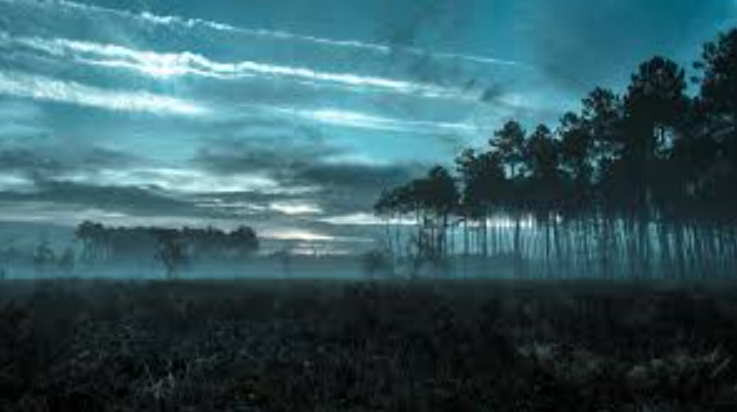 Fotos dramáticas de paisagens