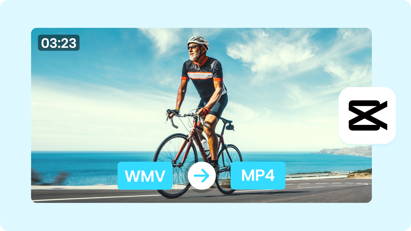 Windows media video la MP4