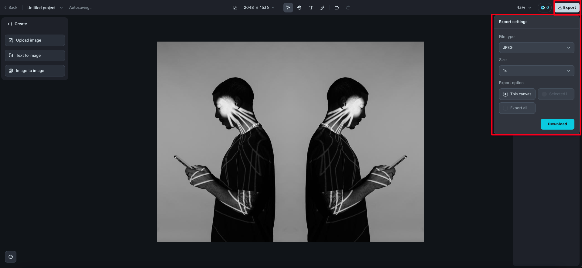 Download edited mirror image