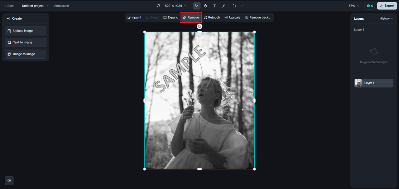 Remove feature