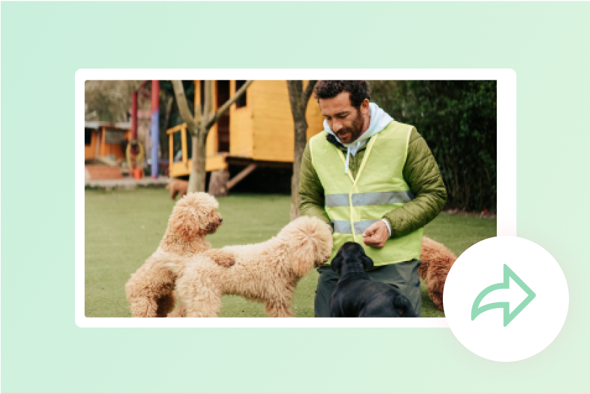 Promote Animal Welfare Through Cute Animal Videos