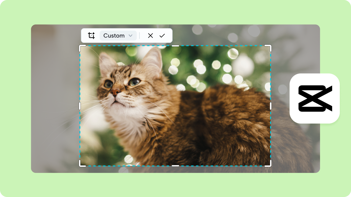 редактор фотографий