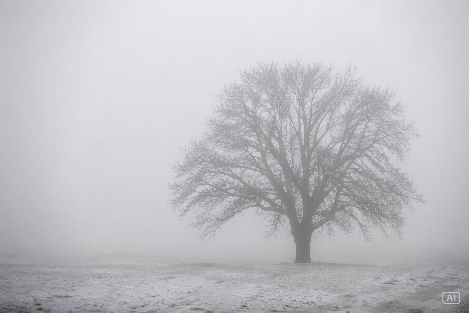 Solitary tree aesthetic image generated by Pippit