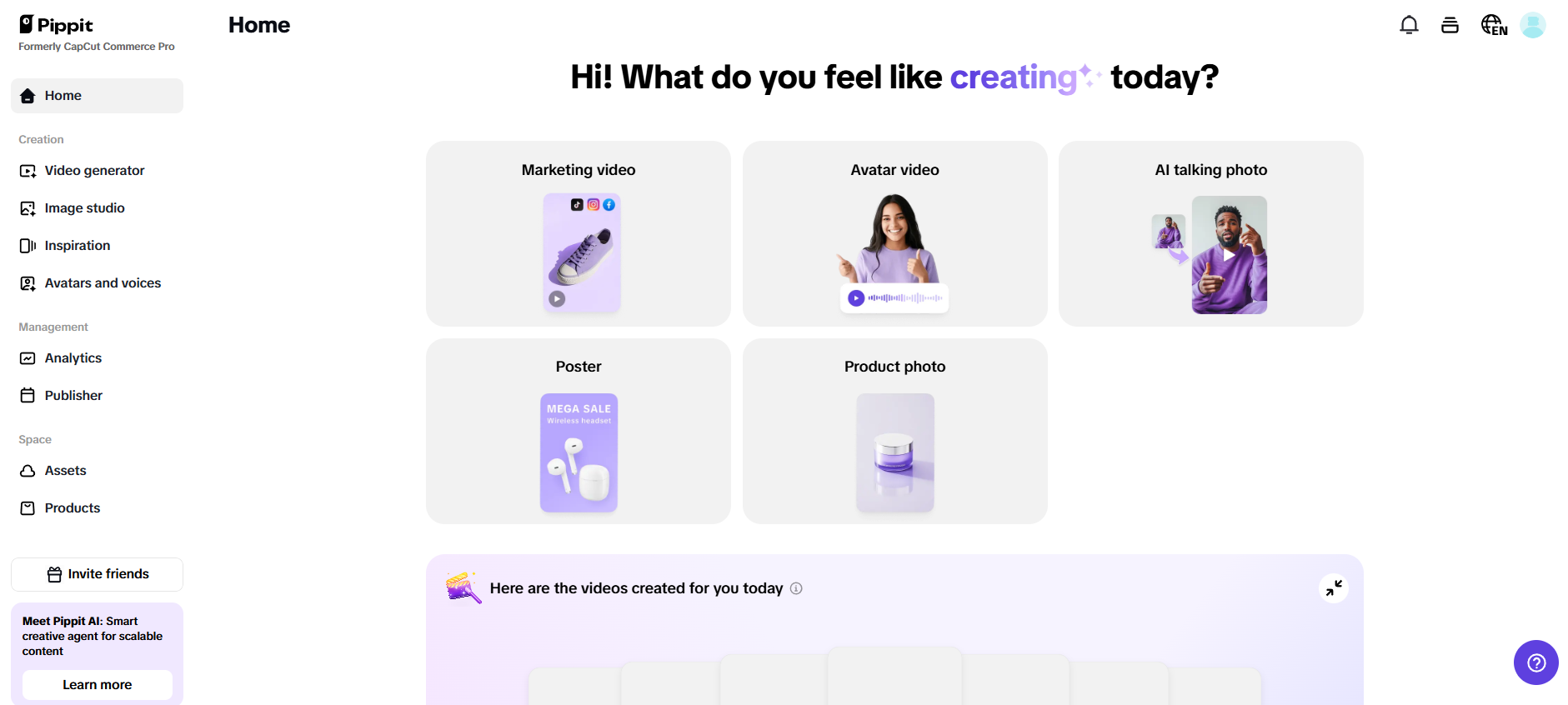 Pippit's interface