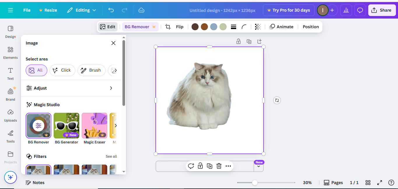 Canva 'nın Arayüzü - tanınmış fotoğraf editörü arka plan değiştirici çevrimiçi ücretsiz