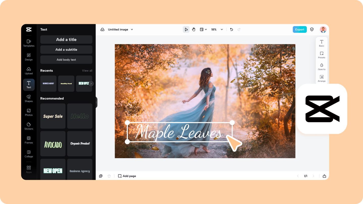 photo word editor
