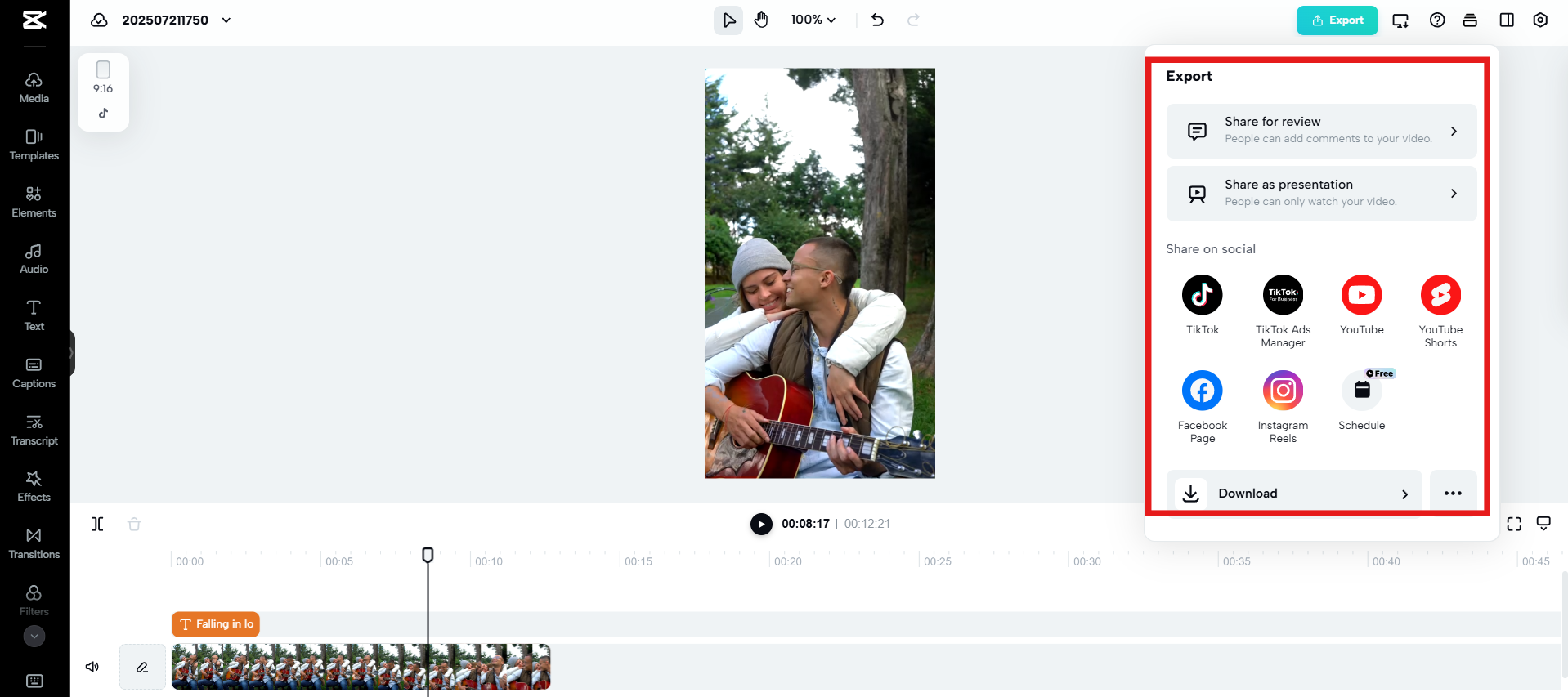 Export the video