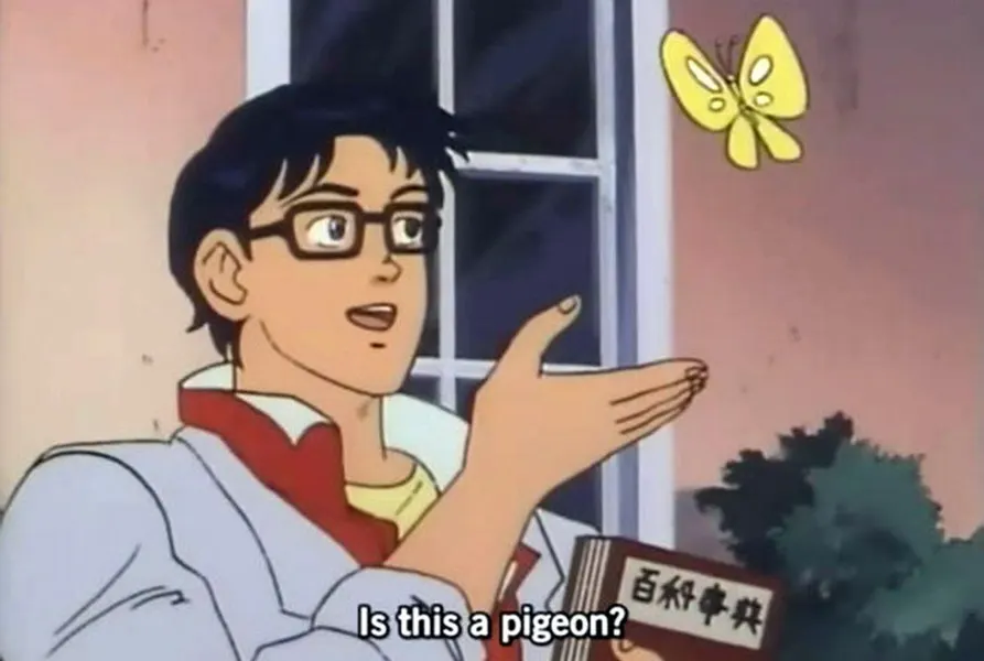 這是鴿子梗