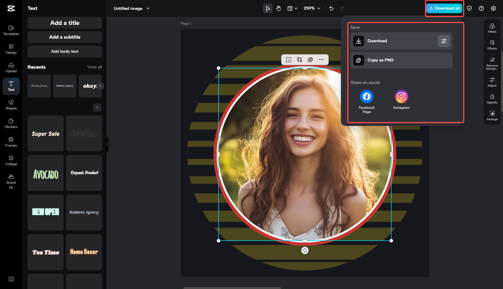 Instagram profil resmini dışa aktar