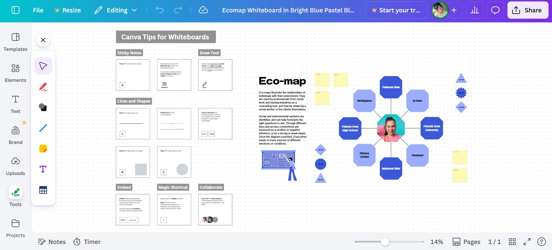 Ecomaps mit Canva erstellen