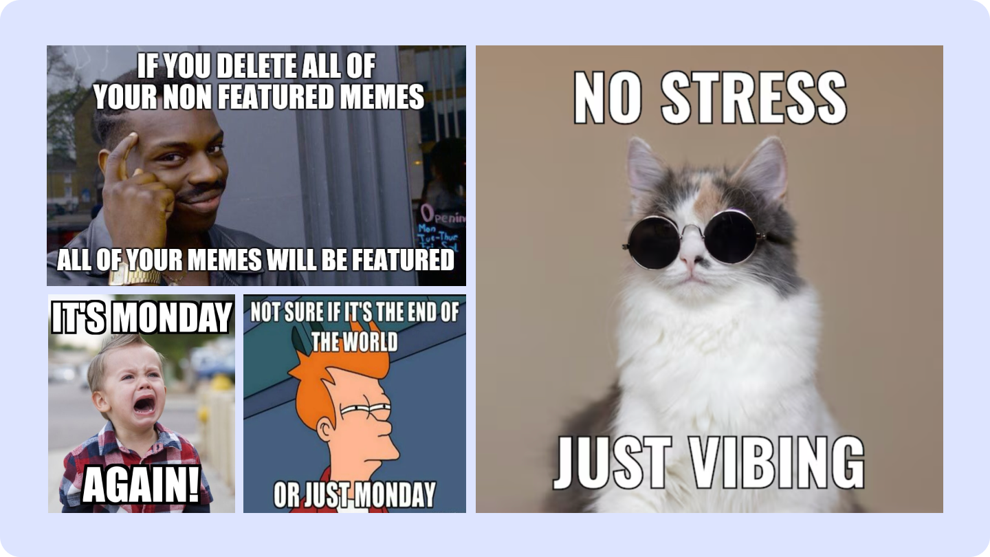 miglior creatore di meme