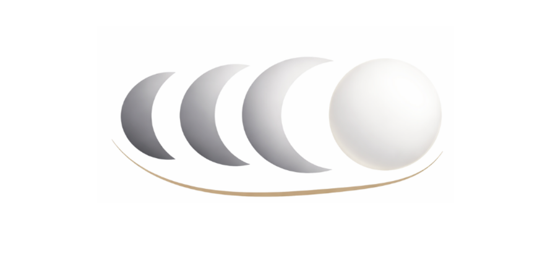 Abstract Moon Phases logo design