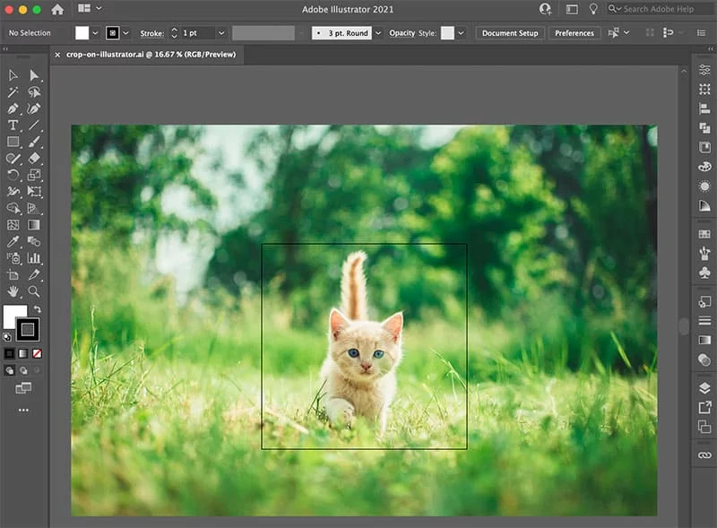 Illustrator crop image