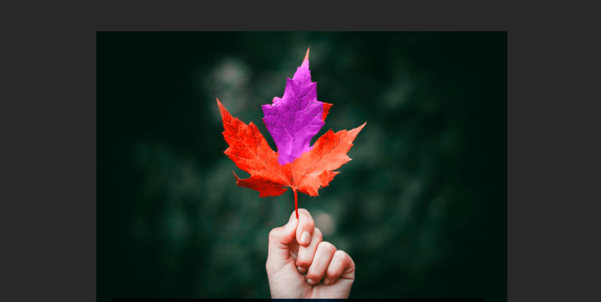 Wie man die Farbe von etwas in Photoshop ändert