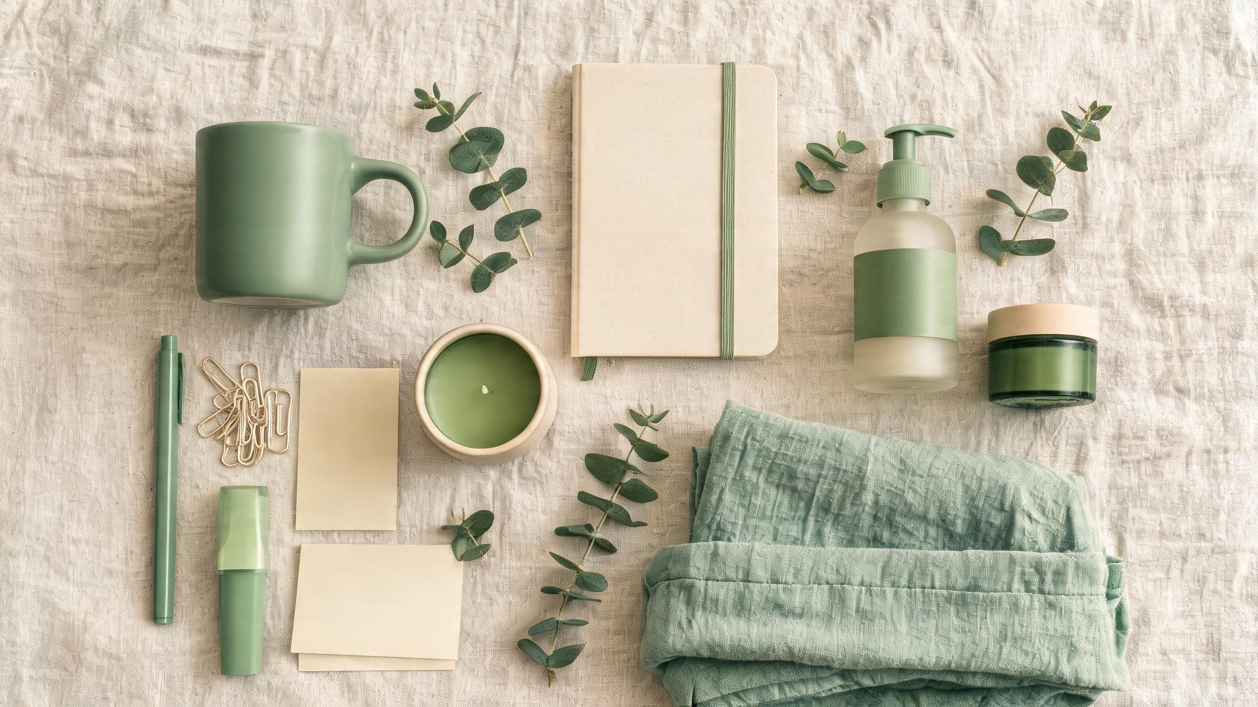 Color-coordinated product flat lay