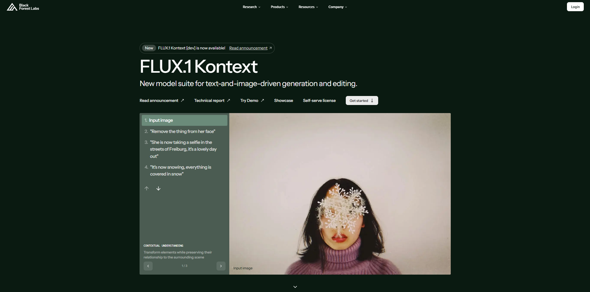 อินเทอร์เฟซของ Black Forest Labs - ตัวสร้างภาพ Flux AI ที่ใช้งานง่าย