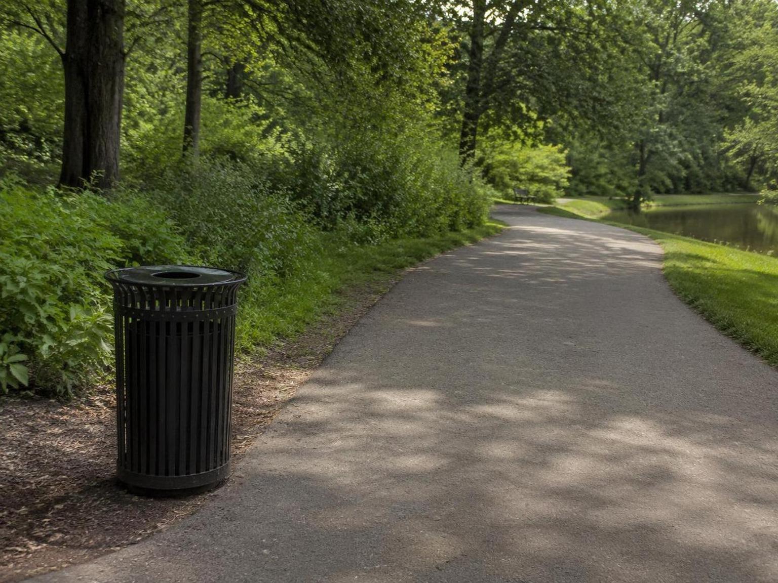 Dreamina remove trash can from video prompt example 1: Clean the main distraction