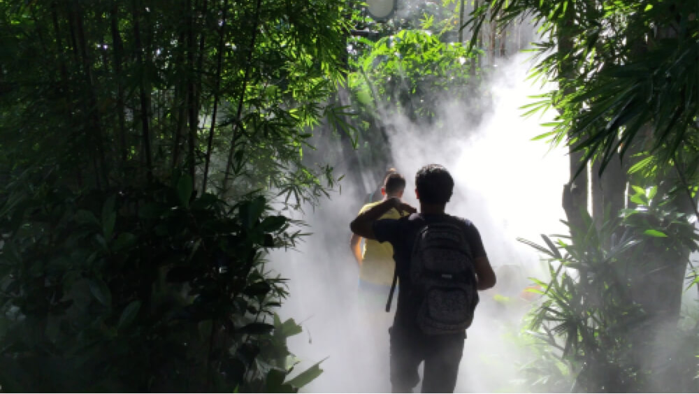 Natural fog effect