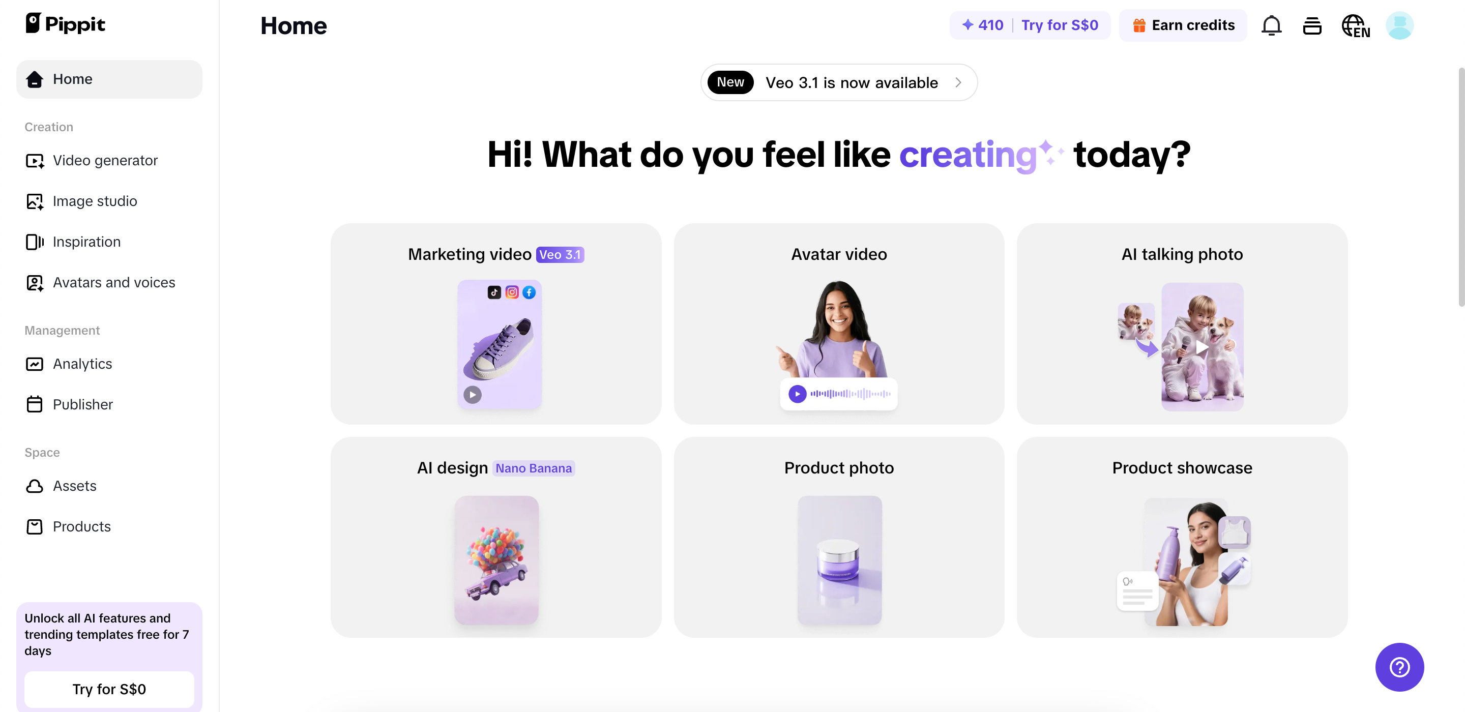 Pippit interface