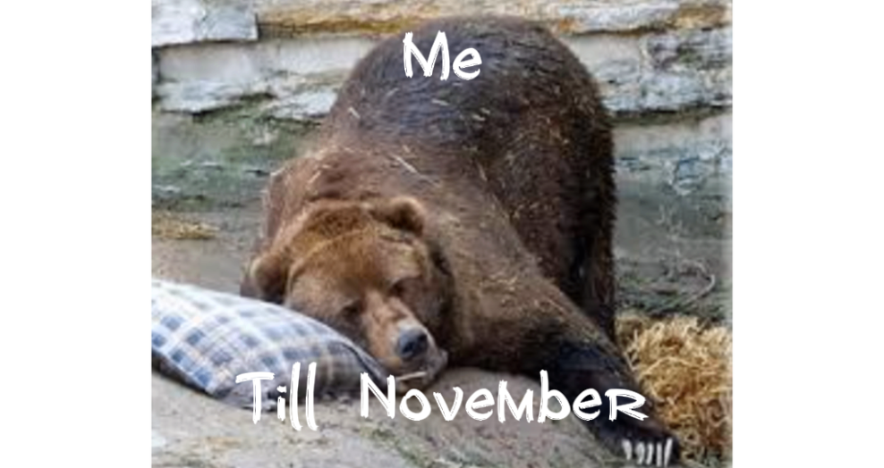 Fon Hiberna