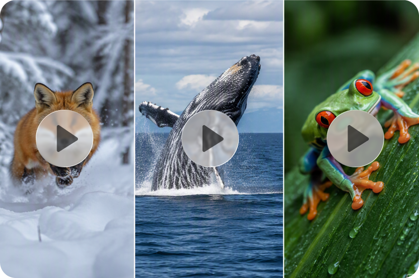 Creare video documentari coinvolgenti per YouTube