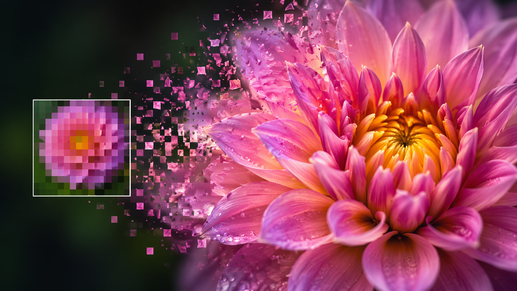 Dreamina IObit AI Fotoeditor Prompt Beispiel 6: Professionelles Profil Polnisch
