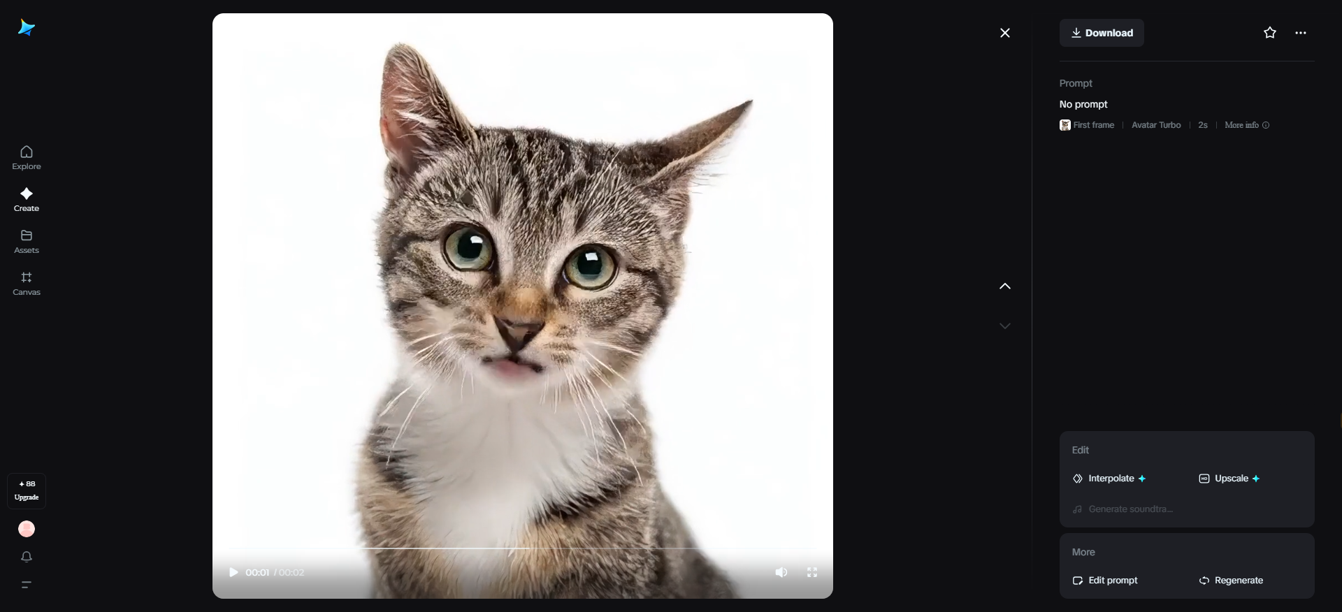 Consejero sabio y viejo gato