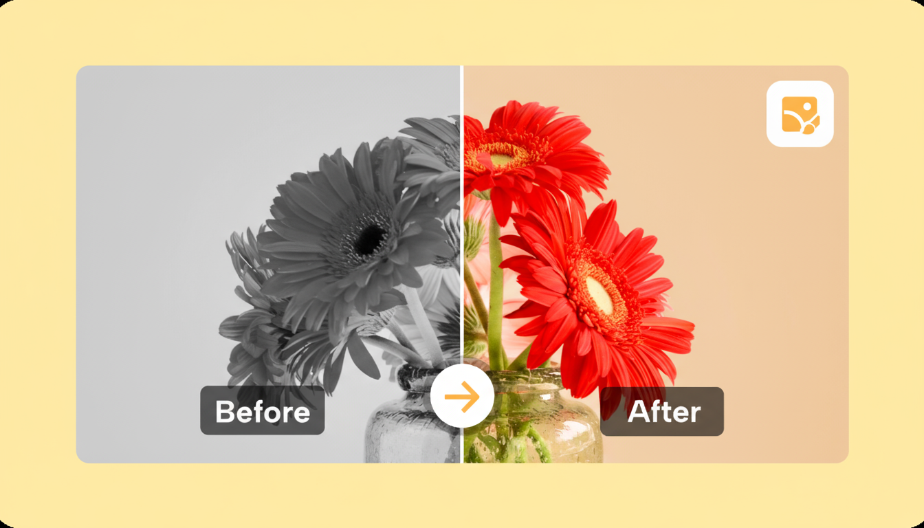 Une image avant et après montrant l'effet de l'étalonnage des couleurs