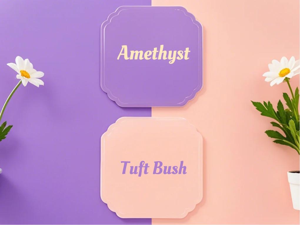 Amethyst &amp; Tuft Busch